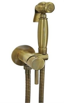 Гигиенический душ со встраиваемым смесителем Giulini FUTURO RU-GIU.FSH25/1531BR - фото 184052