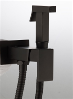 Гигиенический душ скрытого монтажа FRAP F7506-6 черный матовый - фото 210473