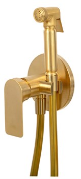 Гигиенический душ скрытого монтажа Remer SHUT OFF I65BG золото матовое - фото 213701