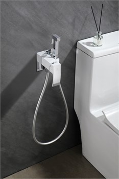 Гигиенический душ скрытого монтажа GANZER GZ44157-F белый с хромом 45054