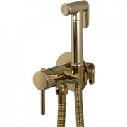 Гигиенический душ скрытого монтажа FRAP F7505-3 золото