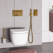 Гигиенический душ скрытого монтажа WasserKRAFT Aisch A55094 золото матовое