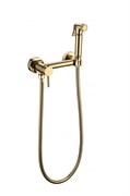 Гигиенический душ с настенным смесителем Grocenberg Gb103N-GO золото