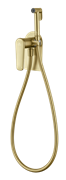 Гигиенический душ скрытого монтажа GANZER GZ02157-S золото матовое 45035