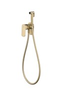 Гигиенический душ скрытого монтажа Ganzer GZ06157-S золото матовое 45039