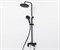 Душевая система со смесителем Wasserkraft Elbe A17401 черный матовый 22947
