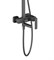 Душевая система TIMO TORNE SX-4320/03 BLACK 28823