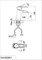 Смеситель для раковины D&K Rhein Marx DA1392801 34134