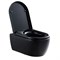 Безободковый подвесной унитаз SSWW CT2039V BLACK 39858