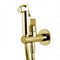 Гигиенический душ с прогрессивным смесителем Fima Carlo Frattini Collettivita F2320/1NOS золото - фото 226717