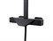 Душевая стойка с термостатом KAISER Quadris 25182-2 черная матовая 42270 - фото 228131 Душевая стойка с термостатом KAISER Quadris 25182-2 черная матовая 42270 - фото 228131