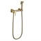 Гигиенический душ с настенным смесителем Grocenberg Gb103N-MG золото матовое 42452