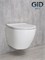 Безободковый подвесной унитаз микролифт дюропласт Gid Tr2198 44564 - фото 254904