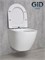 Безободковый подвесной унитаз микролифт дюропласт Gid Tr2198 44564