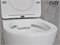 Безободковый подвесной унитаз микролифт дюропласт Gid Tr2198 44564