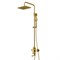 Душевая система со смесителем Wasserkraft Aisch A15501 золото матовое 39591