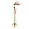 Душевая система со смесителем Wasserkraft Aisch A155.260.201.BG золото матовое 44869